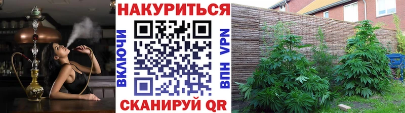 Виды наркотиков купить Мантурово Галлюциногенные грибы Кокаин A PVP Меф ГАШИШ Каннабис