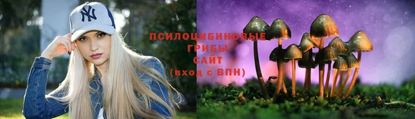 шишки Абинск