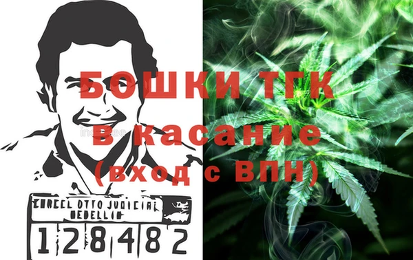 шишки Абинск