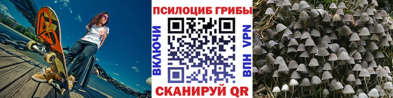 Галлюциногенные грибы Psilocybe  сколько стоит  Мантурово 